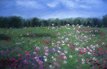 Cosmos by Eileen Serwer