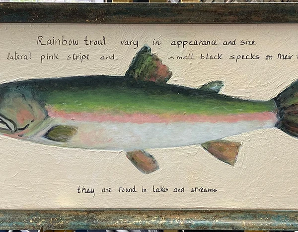 Rainbow Trout By Sandra Aldrich