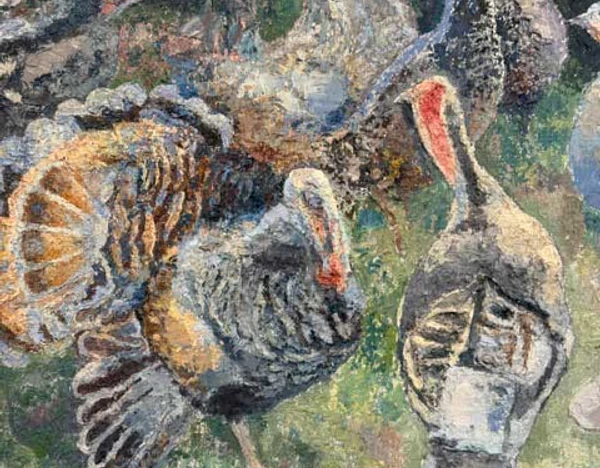 Birds 