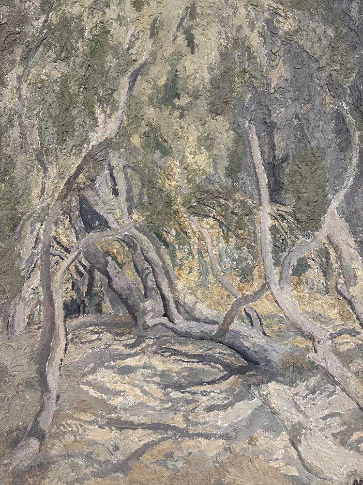 Plato’s Walk In Greece