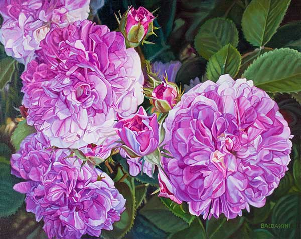 Petite Fragrant Roses