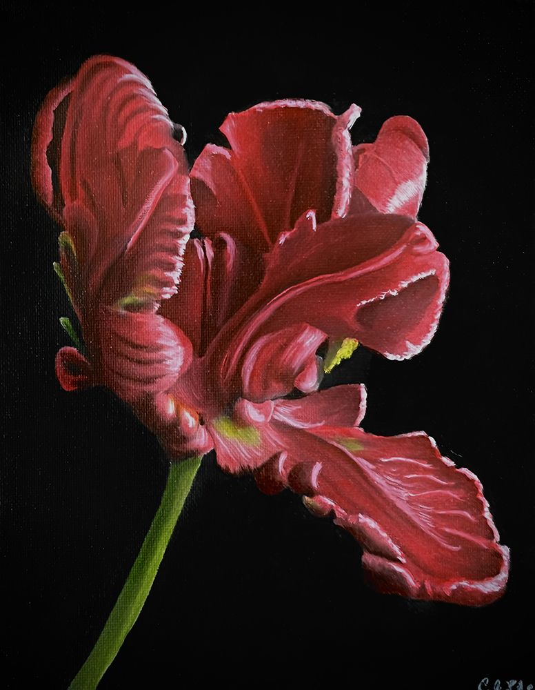 Red Flower