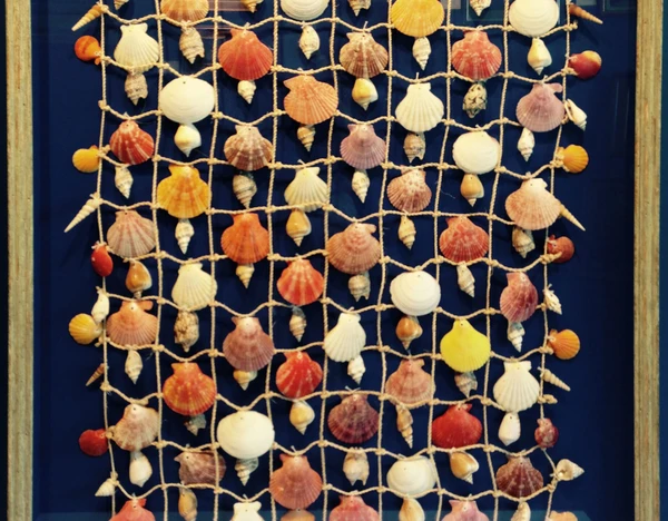 Shell mobile in a shadow box