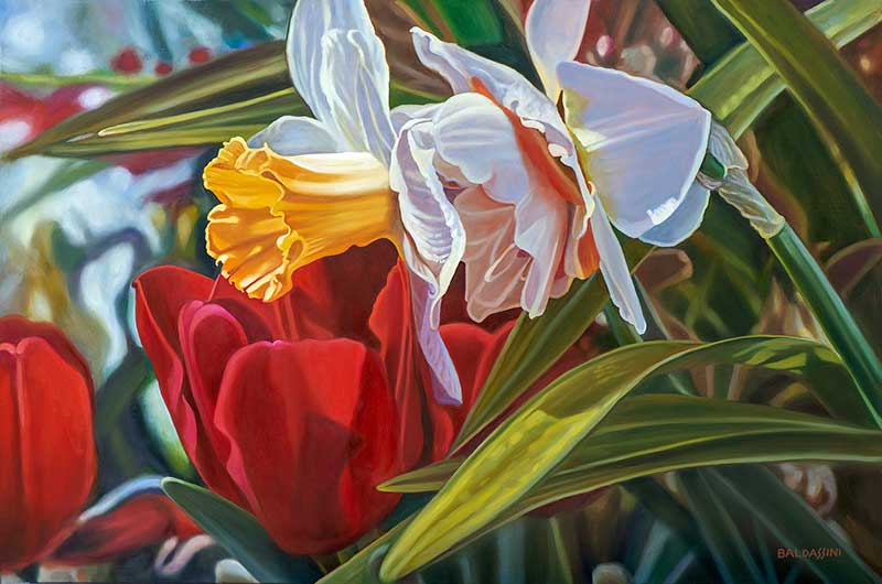 Smith College Spring Bulb Show No. 4