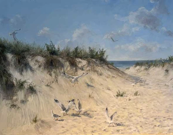 Meeting At The Beach