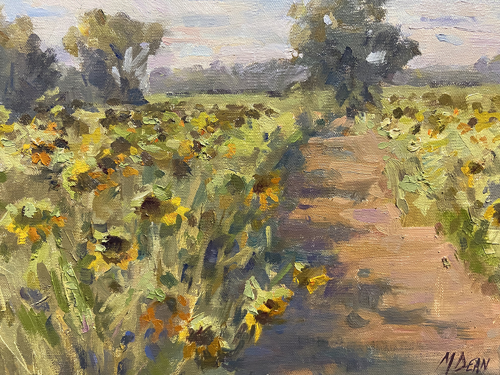 Sunflower Field