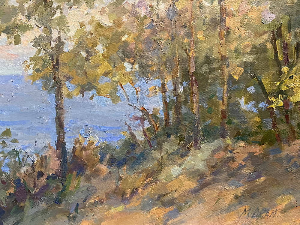 View From Killiams Point