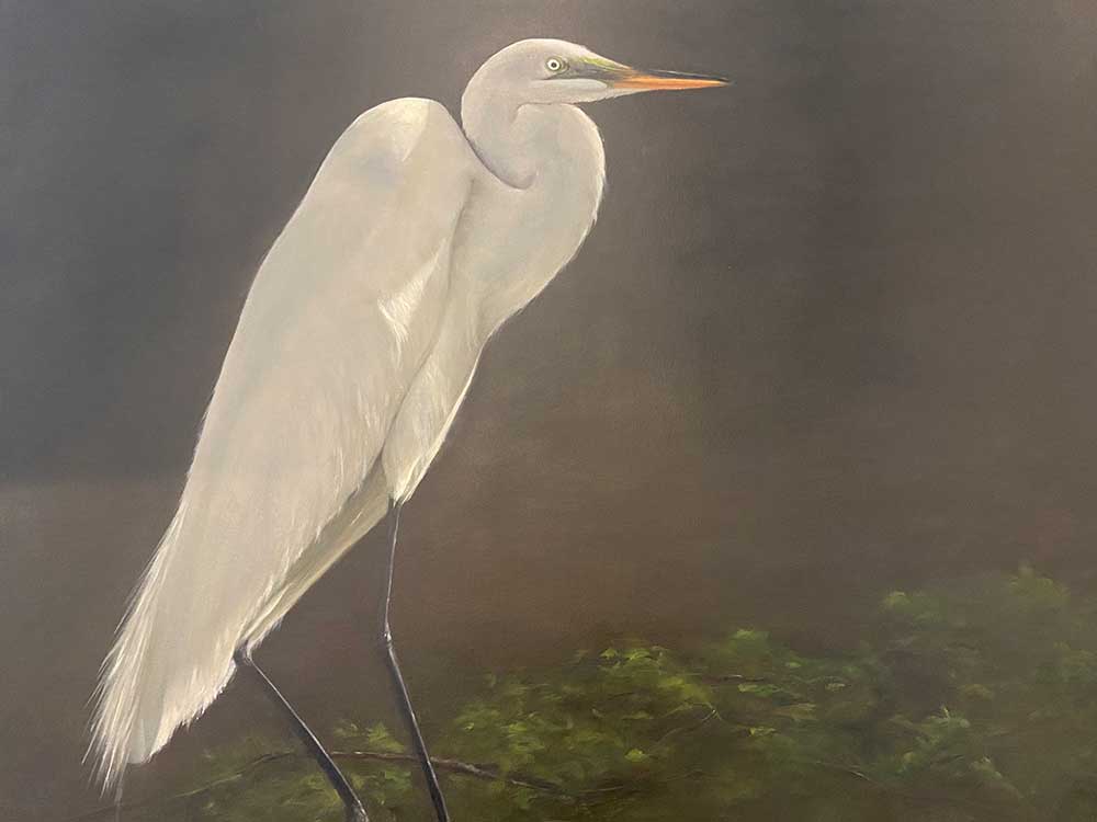 The Egret II