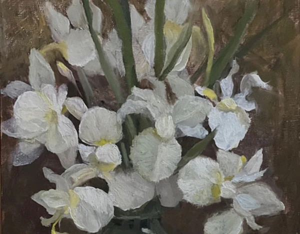 Early Morning Iris