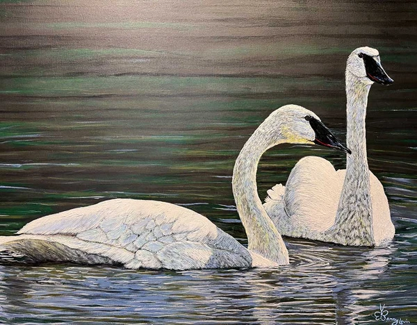 Trumpeter Swans