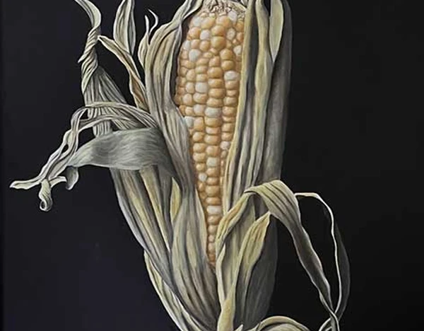 Feed Corn