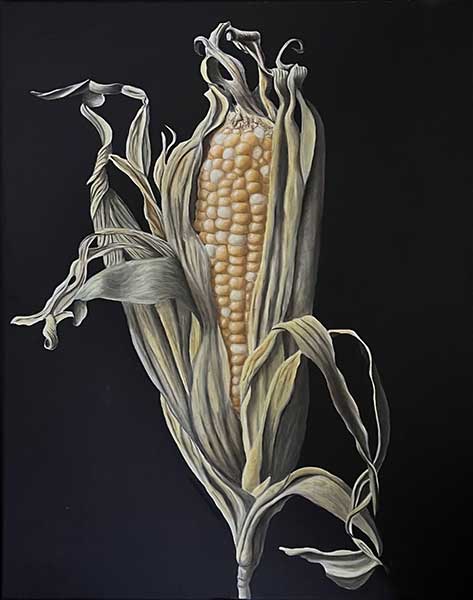 Feed Corn