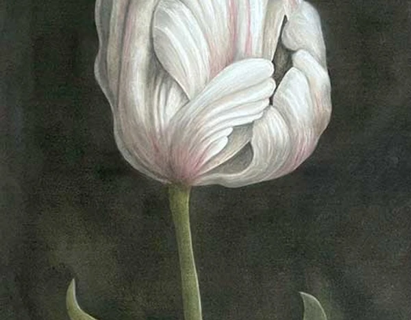 Flower Study #5