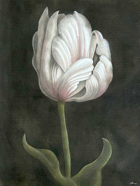 Flower Study #5