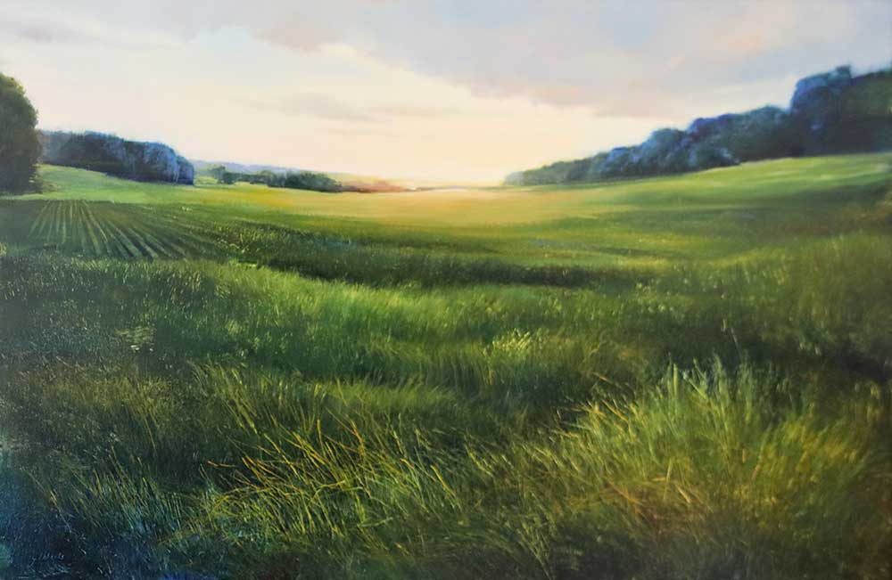 Rolling Hills