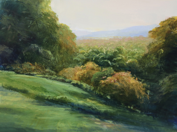 Hilltop View